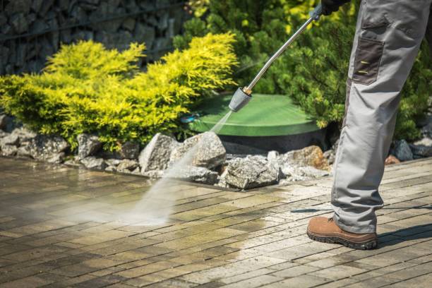 Best Driveway Pressure Washing  in Chigan Center, MI