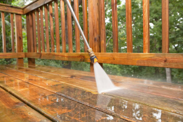 Animal Enclosure Cleaning in Michigan Center, MI